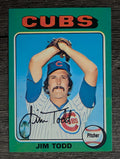 1975 Topps Mini #519 Jim Todd RC (EX)