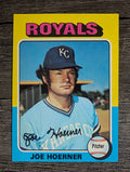 1975 Topps Mini #629 Joe Hoerner (EXMT)