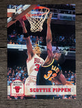 1993-94 Hoops #32 Scottie Pippen