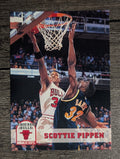 1993-94 Hoops #32 Scottie Pippen