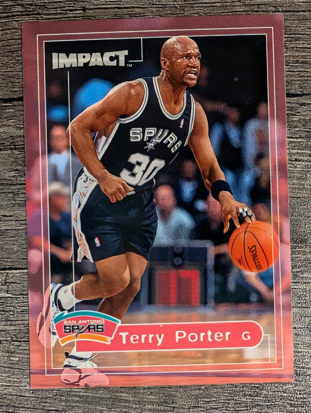1999-00 SkyBox Impact #199 Terry Porter