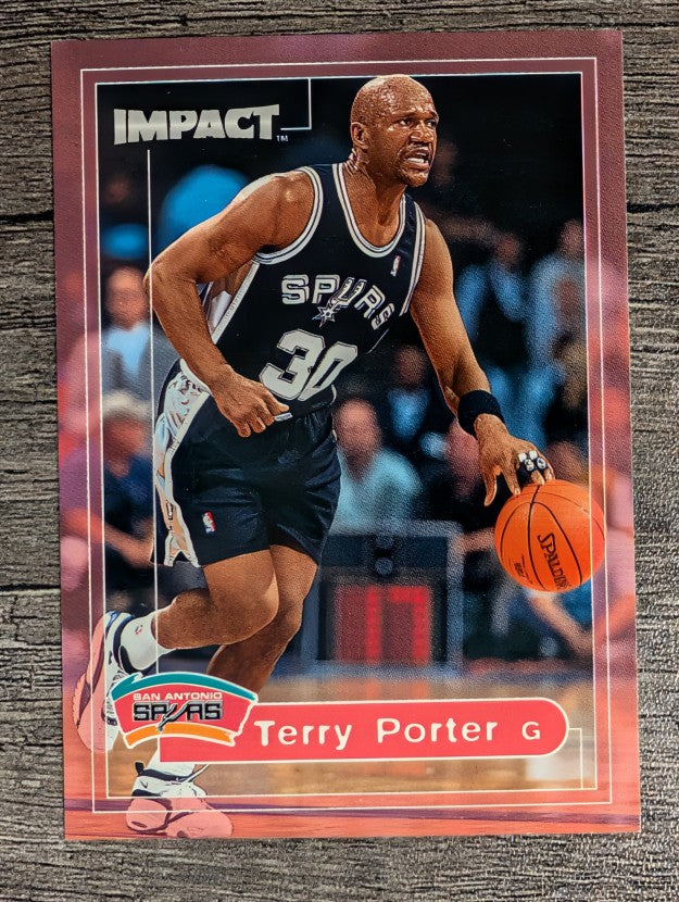 1999-00 SkyBox Impact #199 Terry Porter