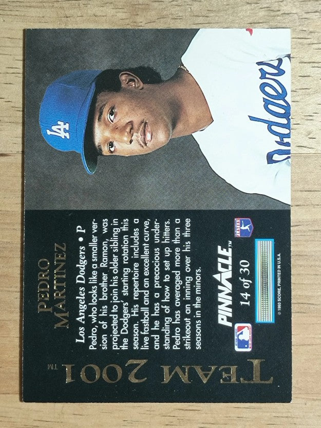1993 Pinnacle Team 2001 #14 Pedro Martinez (NM)