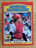 2001 Upper Deck Decade 1970's #128 Carlton Fisk DD