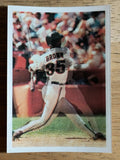 1986 Sportflics #78 Chris Brown