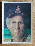 1986 Sportflics #175 Don Sutton