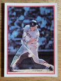 1987 Sportflics #149 Rich Gedman