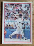 1987 Sportflics #60 Tony Bernazard