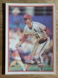 1987 Sportflics #191 Bob Forsch