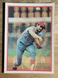 1987 Sportflics #110 Steve Bedrosian