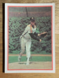 1987 Sportflics #94 Dave Smith