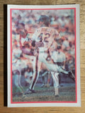 1987 Sportflics #160 Roger McDowell