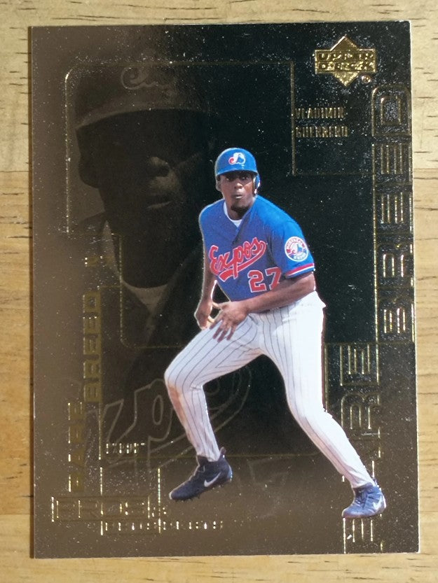 2000 Upper Deck Pros and Prospects Rare Breed #R9 Vladimir Guerrero