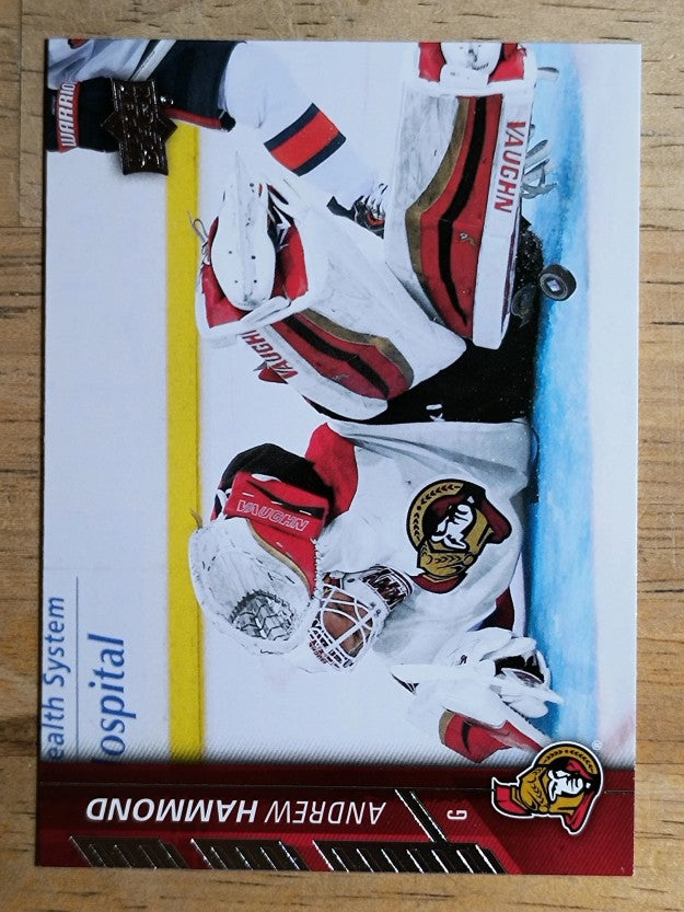 2015-16 Upper Deck #134 Andrew Hammond