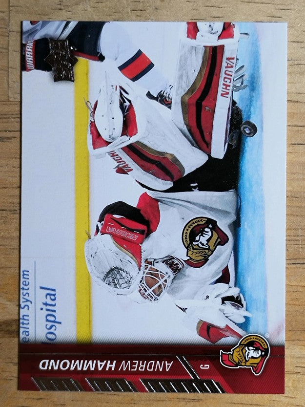 2015-16 Upper Deck #134 Andrew Hammond