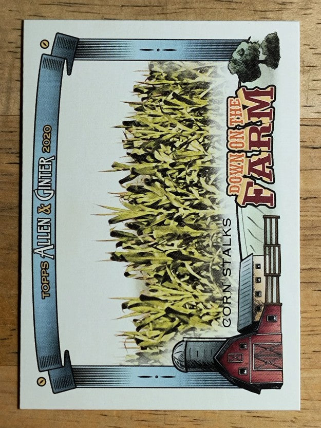 2020 Topps Allen and Ginter Down on the Farm #DFCS Corn Stalks