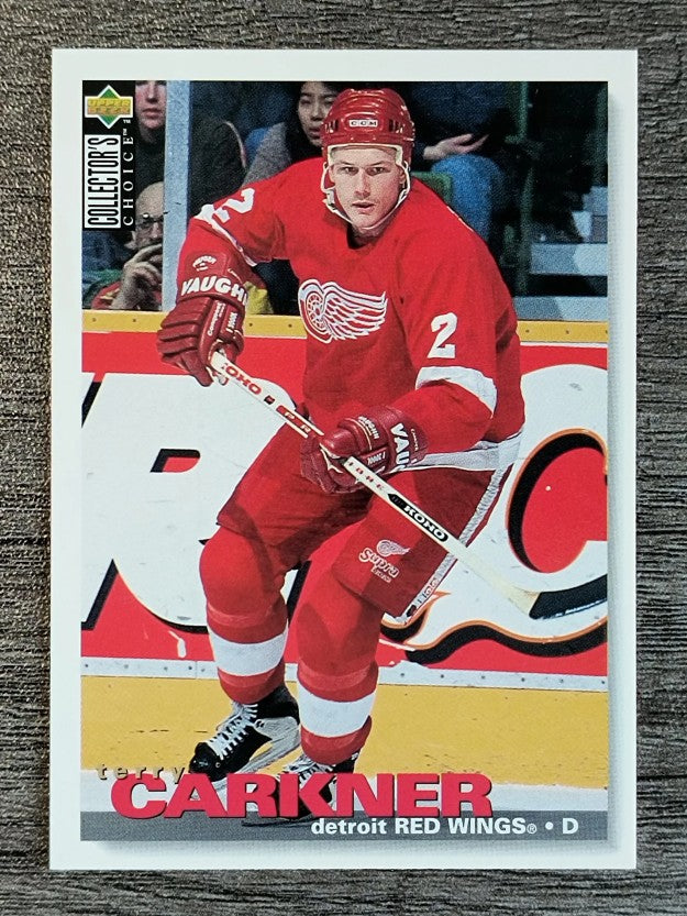 1995-96 Collector's Choice #113 Terry Carkner