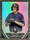 2013 Bowman Platinum Prospects #BPP20 David Dahl