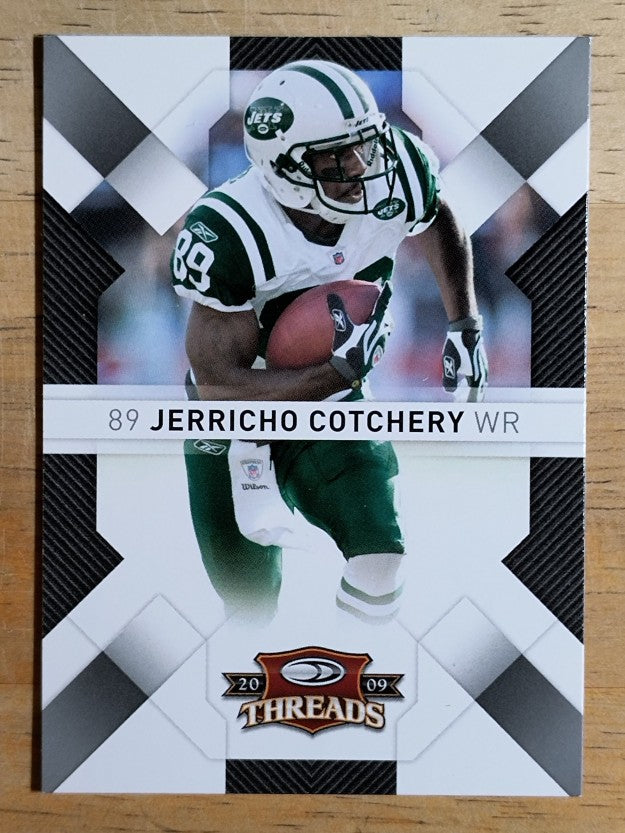 2009 Donruss Threads #69 Jerricho Cotchery