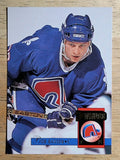 1993-94 Donruss #476 Bob Bassen