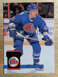 1993-94 Donruss #479 Mike McKee RC