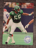 1991 Pro Set Platinum #244 Jeff Lageman
