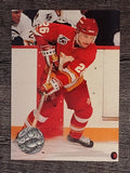 1991-92 Pro Set Platinum #163 Robert Reichel
