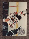 1991-92 Pro Set Platinum #287 Steve Larmer PP