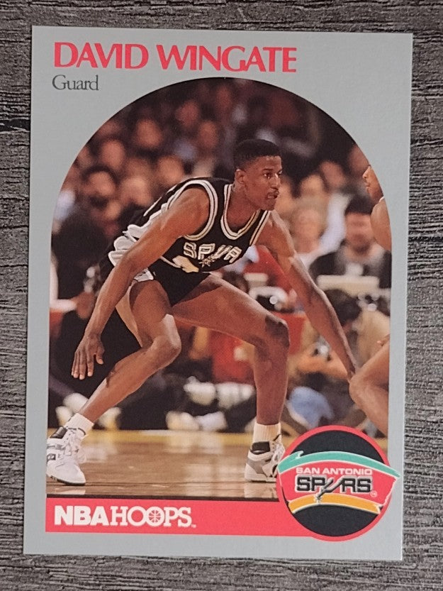 1990-91 Hoops #273 David Wingate SP