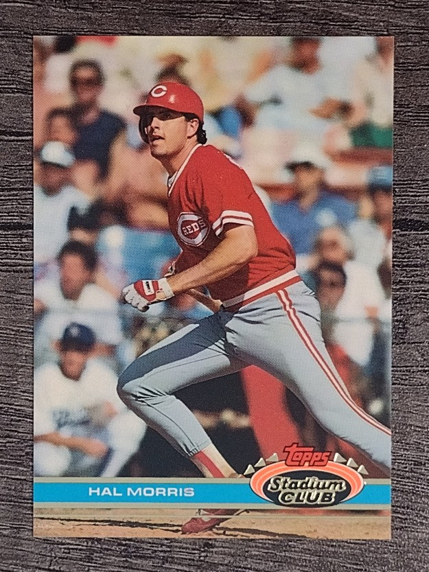 1991 Stadium Club #339 Hal Morris