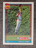 1991 Topps #463 Dwight Smith