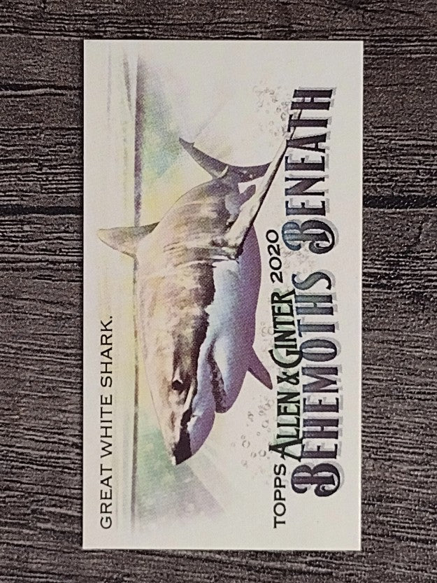 2020 Topps Allen and Ginter Mini Behemoths Beneath #MGB9 Great White Shark