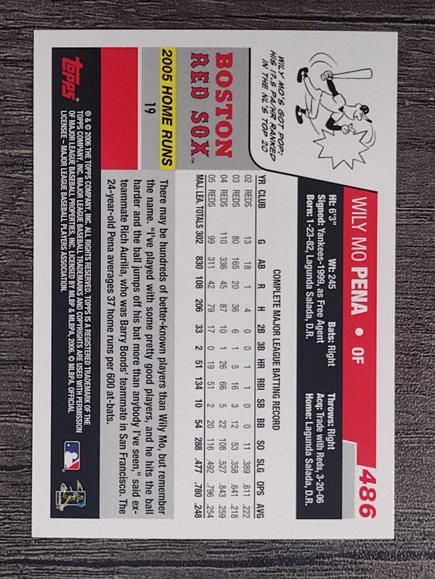 2006 Topps #486 Wily Mo Pena