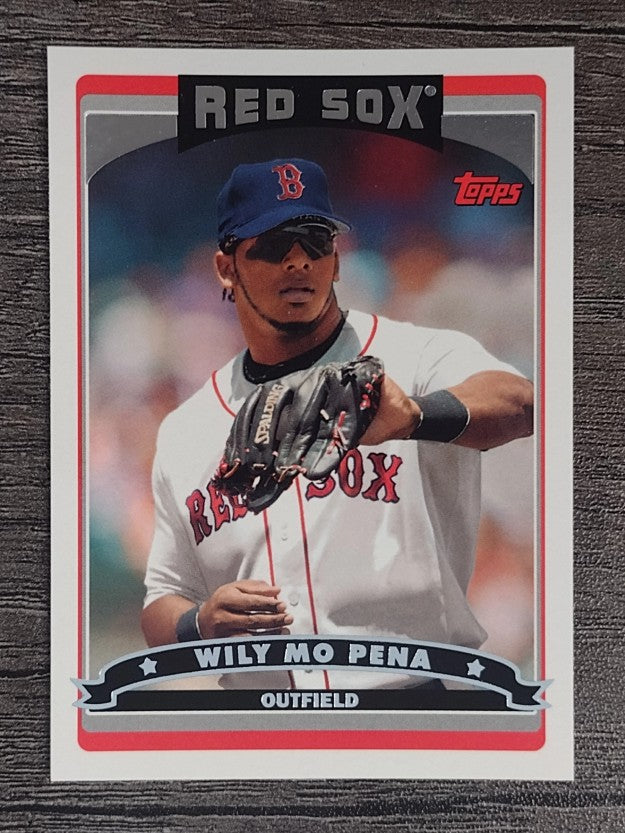 2006 Topps #486 Wily Mo Pena