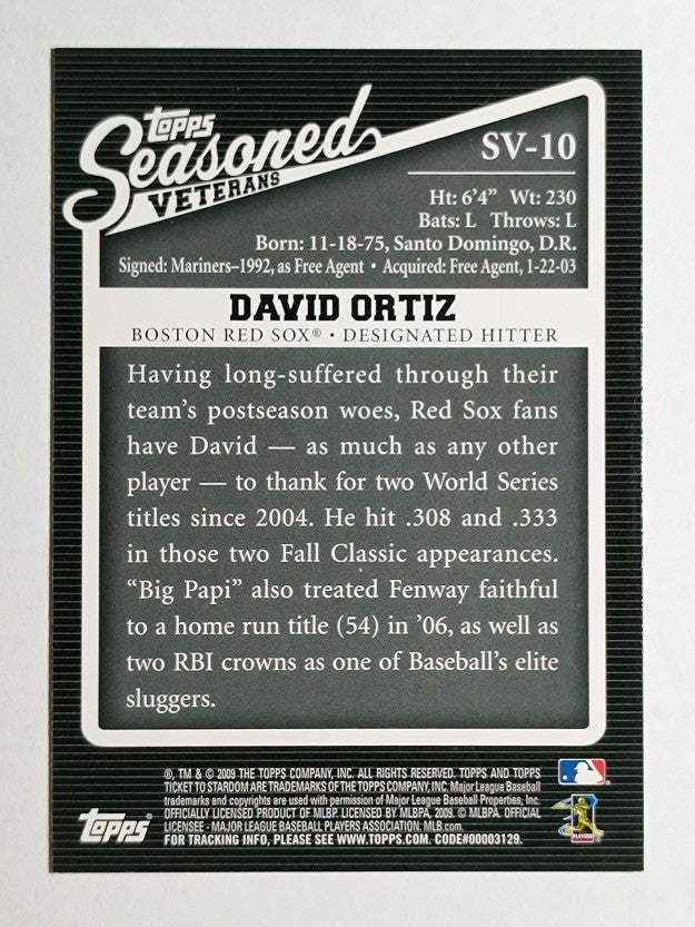 2009 Topps Ticket to Stardom Seasoned Vets #SV10 David Ortiz