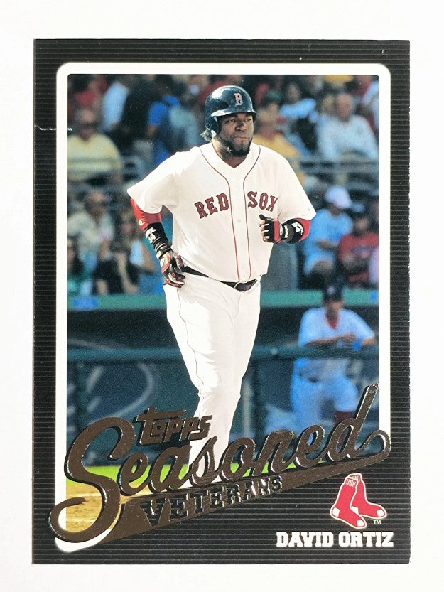 2009 Topps Ticket to Stardom Seasoned Vets #SV10 David Ortiz