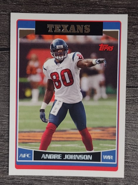 2006 Topps #162 Andre Johnson