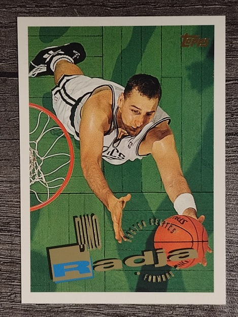1995-96 Topps #220 Dino Radja