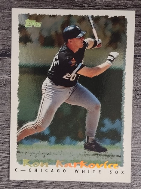 1995 Topps Cyberstats #197 Ron Karkovice