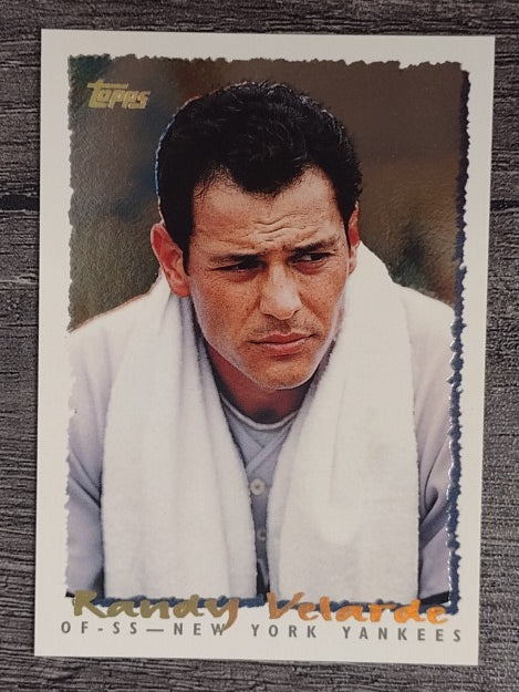 1995 Topps Cyberstats #342 Randy Velarde