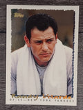 1995 Topps Cyberstats #342 Randy Velarde