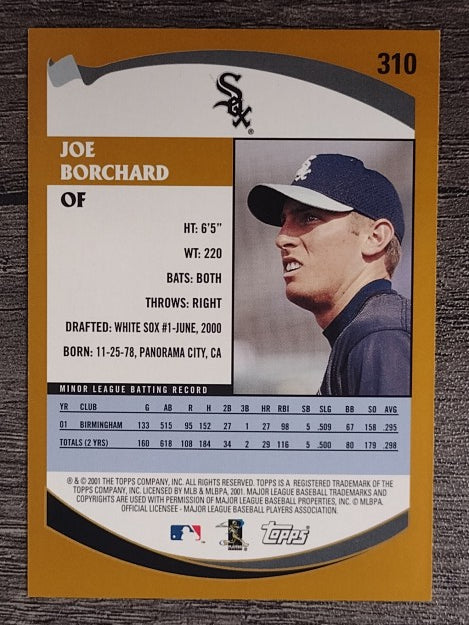 2002 Topps #310 Joe Borchard PROS