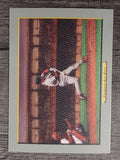 2006 Topps Turkey Red #572 Albert Pujols At Bat CL