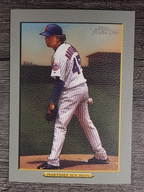 2006 Topps Turkey Red #505 Pedro Martinez