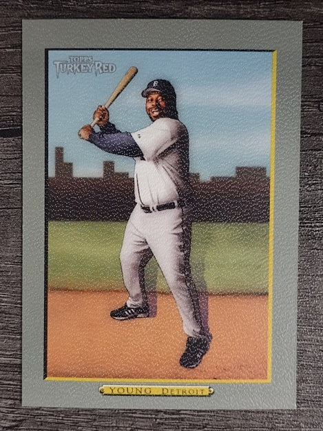 2005 Topps Turkey Red #229 Dmitri Young