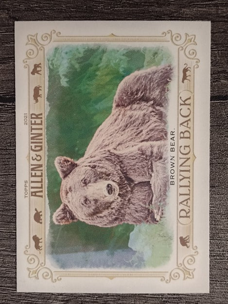 2021 Topps Allen and Ginter Rallying Back #RB9 Brown Bear