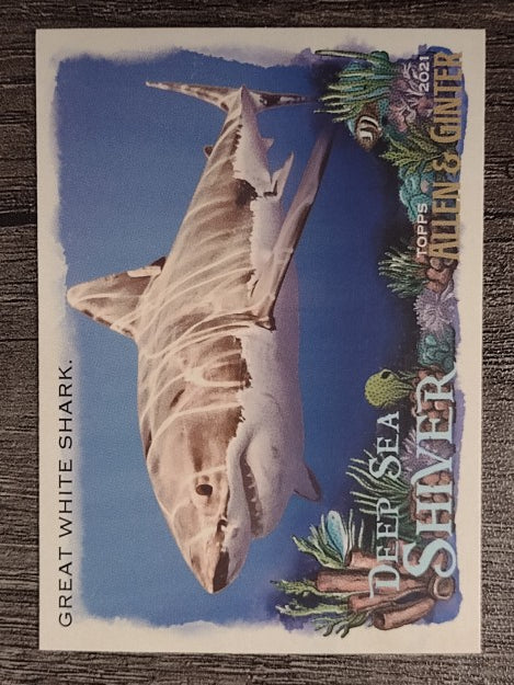2021 Topps Allen and Ginter Deep Sea Shiver #DSS1 Great White Shark