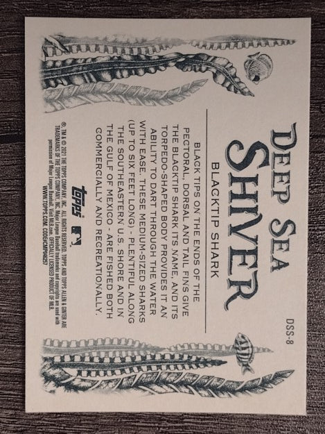 2021 Topps Allen and Ginter Deep Sea Shiver #DSS8 Blacktip Shark
