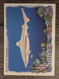 2021 Topps Allen and Ginter Deep Sea Shiver #DSS8 Blacktip Shark