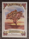 2021 Topps Allen and Ginter Arboreal Appreciation #AA9 Arbutus